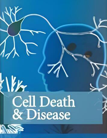 PARL stabilizes mitochondrial BCL-2 via Nur77-mediated scaffolding as a therapeutic strategy for Parkinson’s disease
