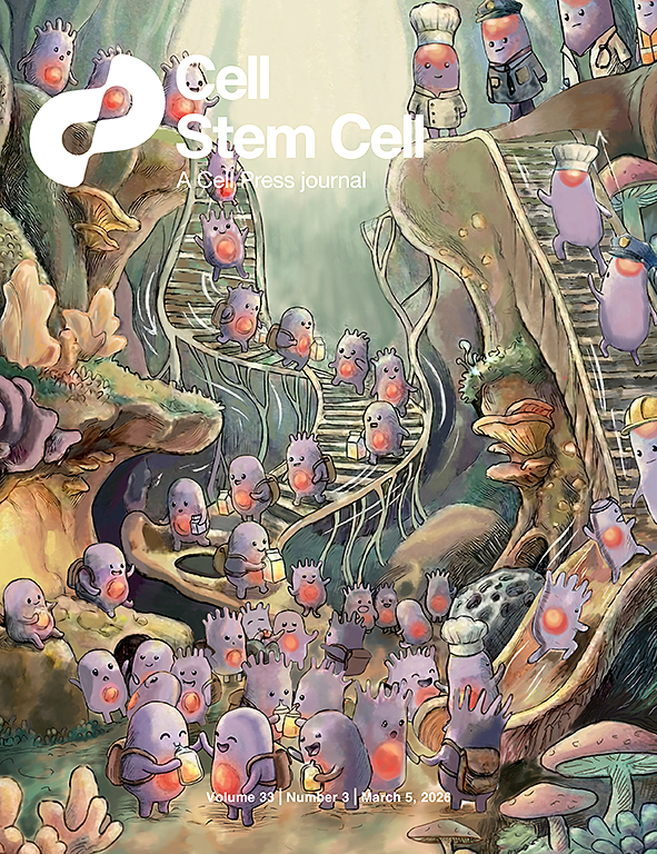 Decoding the spatiotemporal development of the blood-brain barrier in human cortex